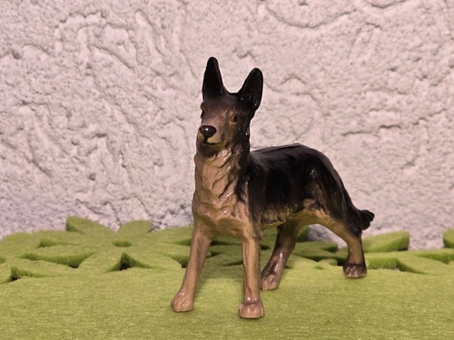 Alt hund schäferhund - alt,