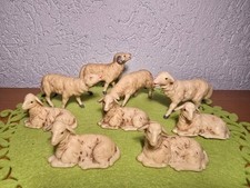 9x  große Schafe alt Friedel