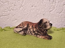 großer Hund Bernhardiner